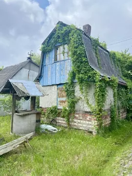 Участок в Калининградская область, Калининград Победа садовое ...