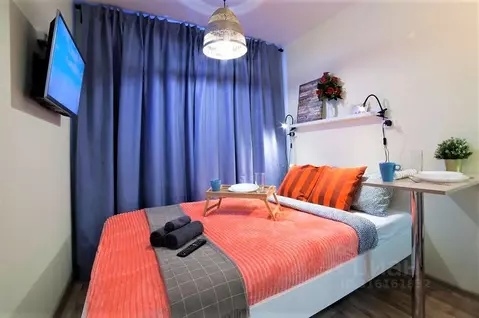 Студия Новосибирская область, Новосибирск Советская ул., 50Б (18.0 м)