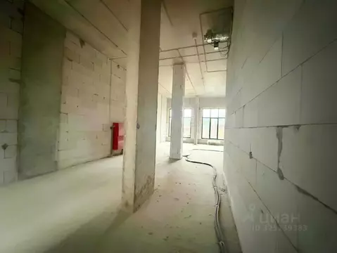 Помещение свободного назначения в Москва просп. Прокшинский, 7 (83 м)