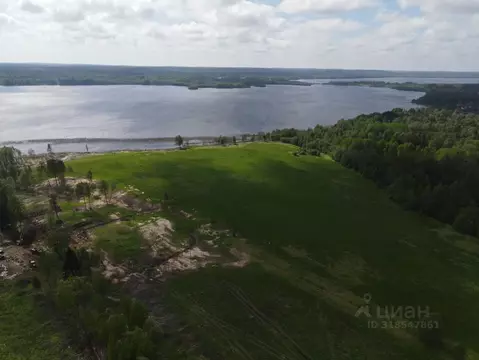 Участок в Ленинградская область, Выборгский район, Полянское с/пос, ...