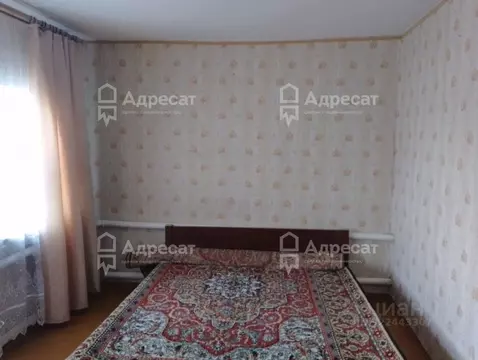 Дом в Волгоградская область, Волгоград ул. Новикова-Прибоя (62 м)