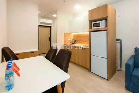 1-к кв. Новосибирская область, Новосибирск ул. Кирова, 113/2 (32.0 м)