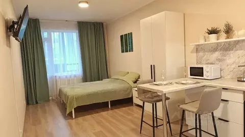 Студия Ленинградская область, Всеволожский район, Заневское городское ...