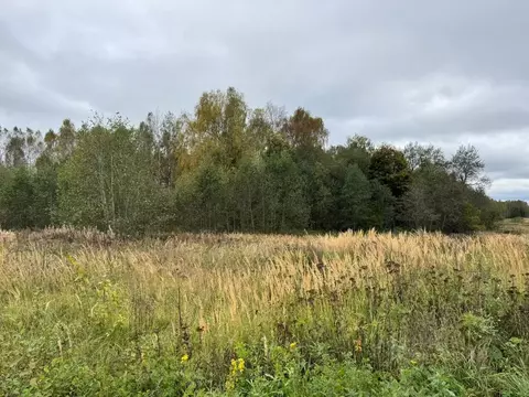 Участок в Московская область, Солнечногорск городской округ, д. Мостки ...