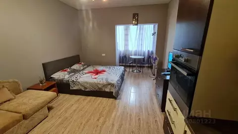 Студия Московская область, Чехов Русская ул., 30А (27.0 м)