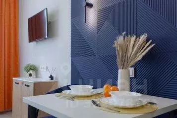 1-к кв. Новосибирская область, Новосибирск ул. Кирова, 113/2 (22.0 м)