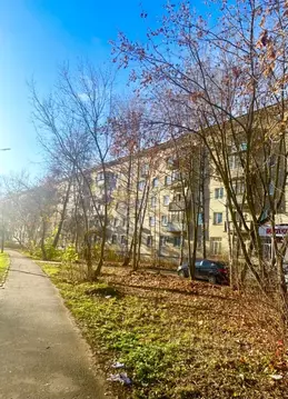 2-к кв. Московская область, Пушкино ул. Чехова, 16 (47.2 м)