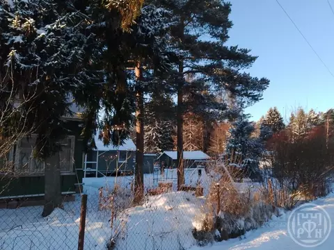 Участок в Санкт-Петербург, Санкт-Петербург, Сестрорецк ул. Тарховская, ...