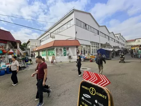 Помещение свободного назначения в Краснодарский край, Новороссийск ул. ...