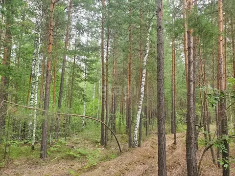 Участок в Тюменская область, Тюменский муниципальный округ, д. ...