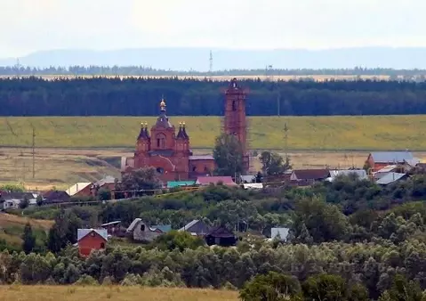 Дом в Самарская область, Ставропольский район, Мусорка с/пос, с. ...