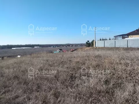 Участок в Волгоградская область, Средняя Ахтуба рп ул. Наримана, 43 ...