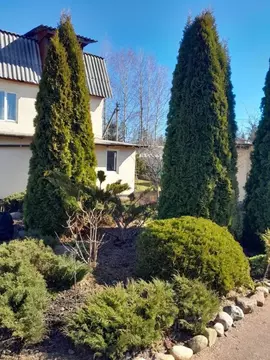 Дом в Ленинградская область, Ломоносовский район, Лебяженское ...