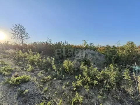 Участок в Ростовская область, Родионово-Несветайский район, ...