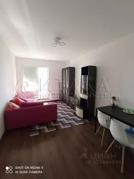 Студия Санкт-Петербург просп. Ветеранов, 175 (25.0 м)