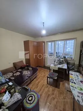 Студия Новосибирская область, Новосибирск ул. Одоевского, 1/8 (24.0 м)