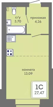 Студия Пермский край, Пермь Кировоградская ул., 28 (27.47 м)