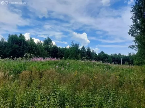 Участок в Московская область, Дмитровский муниципальный округ, СНТ ...