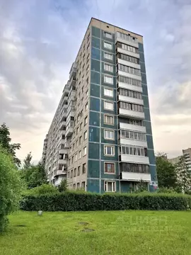 2-к кв. Санкт-Петербург просп. Энтузиастов, 41 (49.7 м)