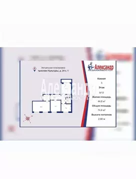 3-к кв. Санкт-Петербург просп. Культуры, 24К1 (74.6 м)