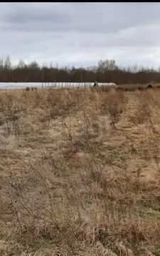 Участок в Псковская область, Псковский район, Логозовская волость, д. ...