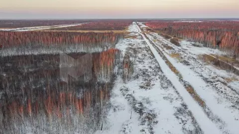 Участок в Тюменская область, Нижнетавдинский муниципальный округ, ...