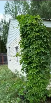 Дом в Вологодская область, Вологда Меркурий садоводческое ...