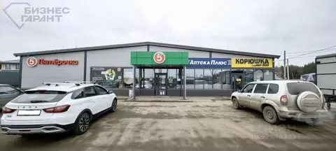 Помещение свободного назначения в Самарская область, Красноярский ...