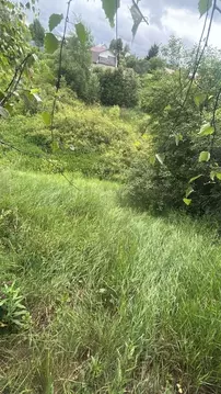 Участок в Московская область, Ступино городской округ, д. Бекетово ул. ...