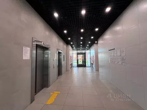 Студия Москва Ижорская ул., 6к2 (24.0 м)