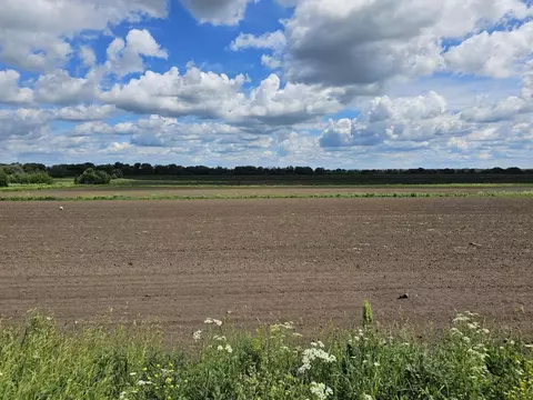 Участок в Московская область, Луховицы муниципальный округ, д. ...