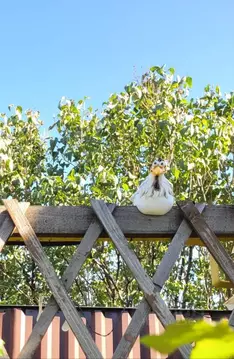 Участок в Волгоградская область, Волгоград Дунайская ул., 8 (7.5 сот.)