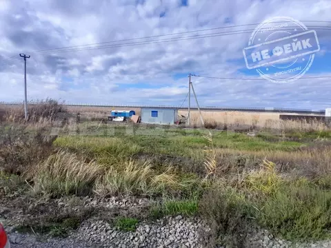 Участок в Ростовская область, Аксайский район, Ольгинское с/пос, Махин ...