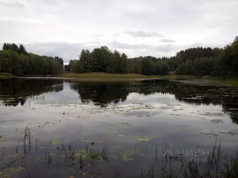 Участок в Новгородская область, Окуловский район, Турбинное с/пос, д. ...
