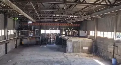 Производственное помещение в Тюменская область, Тюменский район, ...