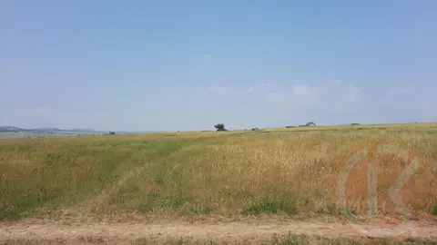 Участок в Крым, Симферопольский район, с. Чистенькое  (340.0 сот.)