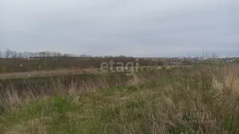 Участок в Белгородская область, Ракитянский район, Дмитриевское с/пос, ...