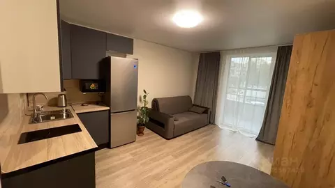 Студия Санкт-Петербург пос. Шушары, просп. Новгородский, 2к3 (28.0 м)