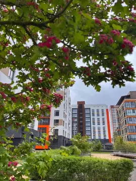 2-к кв. Брянская область, Брянск Степная ул., 14 (77.2 м)