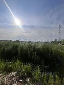 Участок в Амурская область, Благовещенский район, Станичное тер.  (8.0 ...