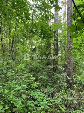 Участок в Ленинградская область, Всеволожск ул. Гоголя, 57 (20.0 сот.)