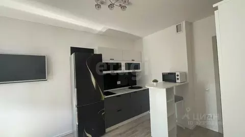 Студия Санкт-Петербург наб. Реки Каменки, 23 (20.8 м)