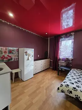 Студия Омская область, Омск Привокзальный мкр, ул. Карлова, 56 (16.0 ...