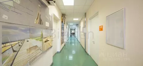 Офис в Санкт-Петербург Афонская ул., 2 (106 м)