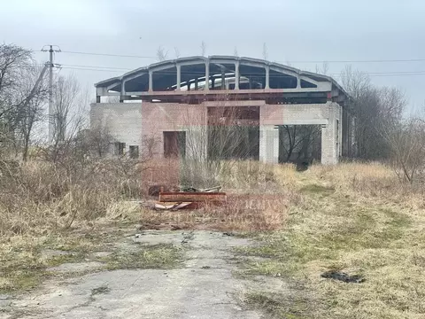 Помещение свободного назначения в Калининградская область, ...