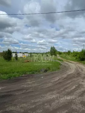 Участок в Алтайский край, Первомайский район, пос. Новый ул. ...