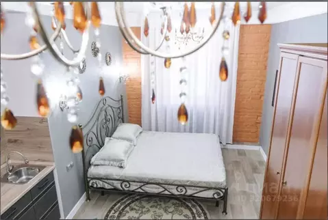 1-к кв. Амурская область, Благовещенск ул. Ленина, 148 (20.0 м)