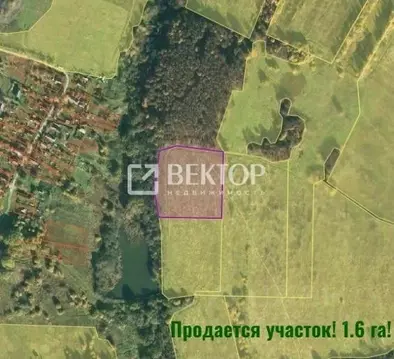 Участок в Ярославская область, Ярославский муниципальный округ, д. ...