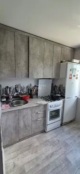 2-к кв. Челябинская область, Миасс Молодежная ул., 1А (43.0 м)