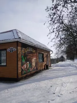 Торговая площадь в Белгородская область, Бирюч Красногвардейский ...